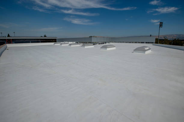 Best Rubber Roofing (EPDM, TPO)  in Warren, IN