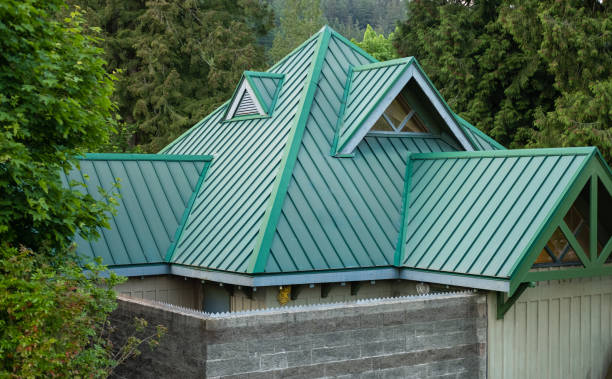 Best Asphalt Shingles Roofing  in Warren, IN