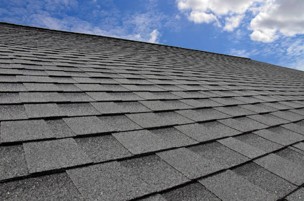 Best Skylight Installation and Repair  in Warren, IN